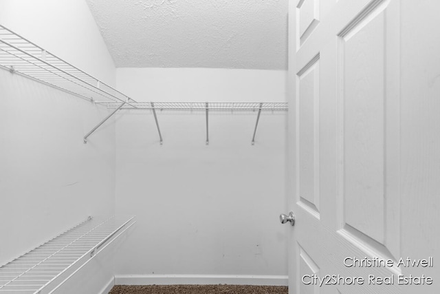 11943 Mulliken Rd, Mulliken, MI 48861 - walk in closet featuring carpet flooring