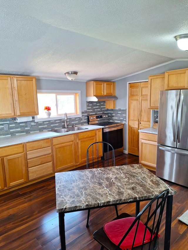 6334 N 168th Ave, Walkerville, MI 49459 - kitchen with stainless steel appliances, a sink, a textured ceiling, backsplash, and dark wood-type flooring