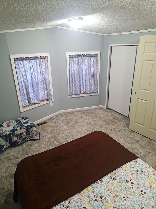 6334 N 168th Ave, Walkerville, MI 49459 - carpeted bedroom with a textured ceiling, crown molding, and a closet