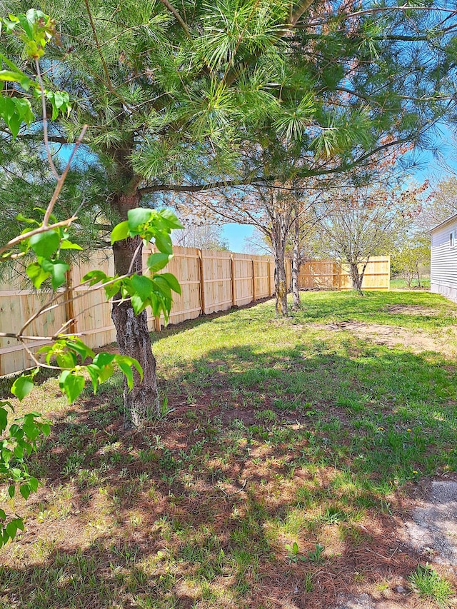 6334 N 168th Ave, Walkerville, MI 49459 - view of yard