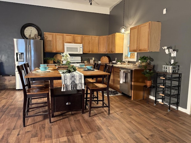 1581 W Lone Pine Dr, Baldwin, MI 49304 - kitchen with appliances with stainless steel finishes, a towering ceiling, dark wood finished floors, a sink, and hanging light fixtures