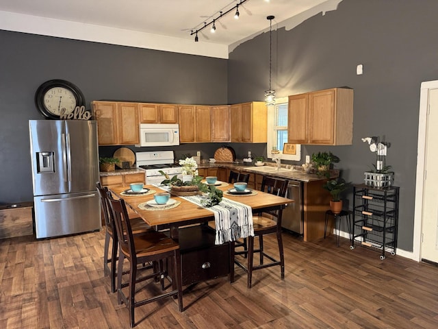 1581 W Lone Pine Dr, Baldwin, MI 49304 - kitchen with stainless steel appliances, a high ceiling, track lighting, dark wood-type flooring, and pendant lighting