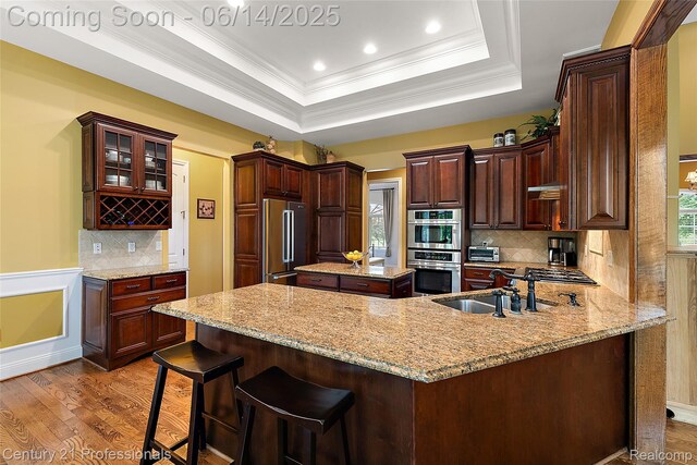 1181 Iroquois Trl, Oxford, MI 48371 - kitchen with appliances with stainless steel finishes, a raised ceiling, wood finished floors, a peninsula, and backsplash