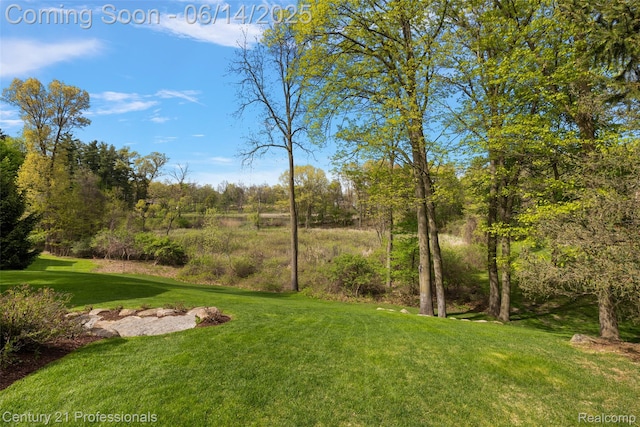 1181 Iroquois Trl, Oxford, MI 48371 - view of grassy yard