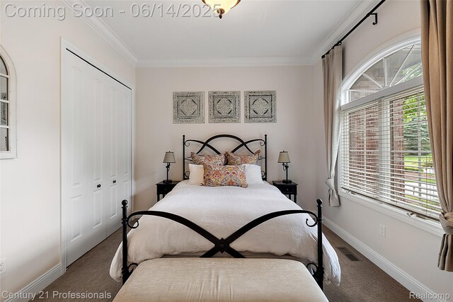 1181 Iroquois Trl, Oxford, MI 48371 - carpeted bedroom with a closet and crown molding