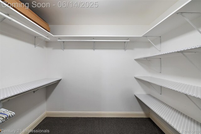 1181 Iroquois Trl, Oxford, MI 48371 - walk in closet with carpet