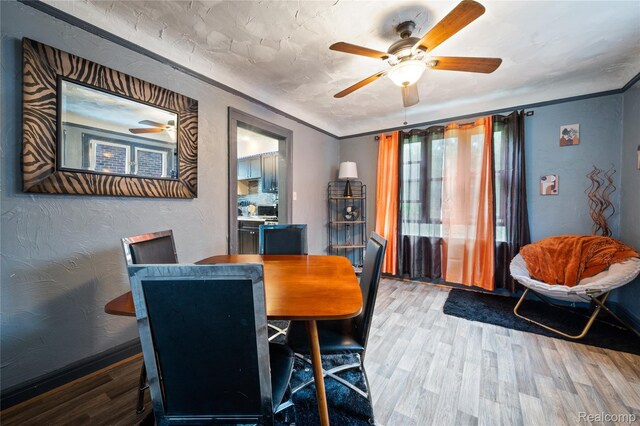 12518 Corbett St, Hamtramck, MI 48213 - dining space with a ceiling fan, light wood-style floors, and a textured wall