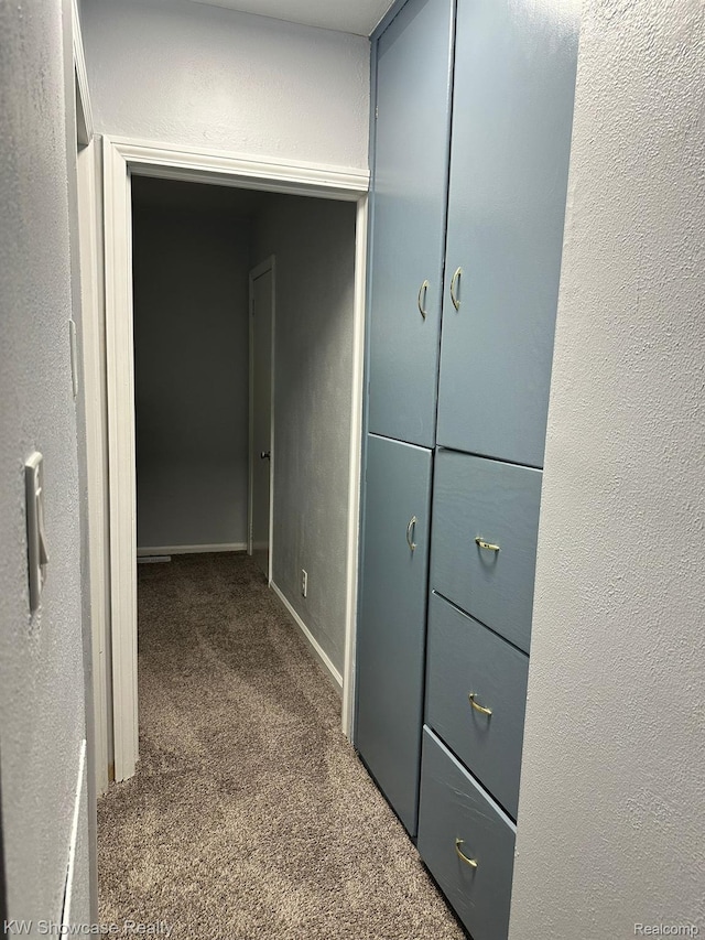 459 E Breckenridge St, Ferndale, MI 48220 - corridor with carpet, baseboards, and a textured wall
