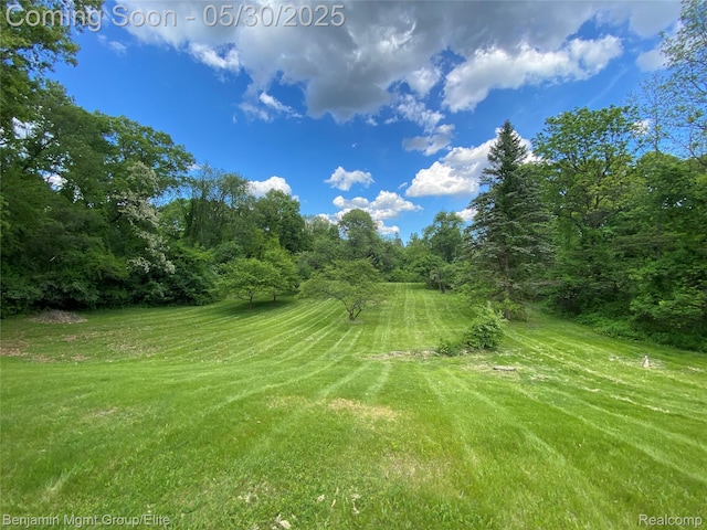 30430 Inkster Rd, Franklin, MI 48025 - view of grassy yard
