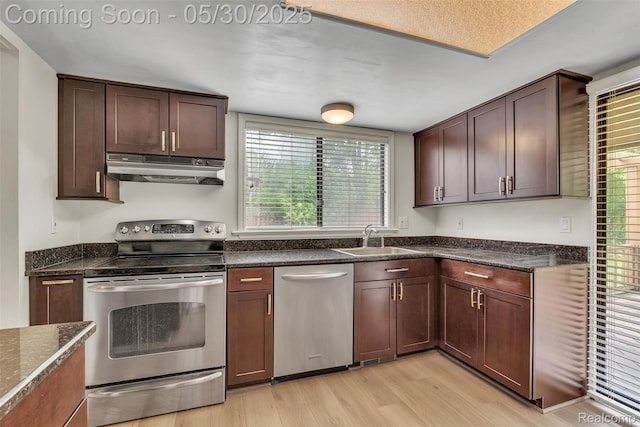 5772 Perrytown Dr, West Bloomfield, MI 48322 - kitchen featuring stainless steel appliances, under cabinet range hood, a sink, light wood-type flooring, and healthy amount of natural light