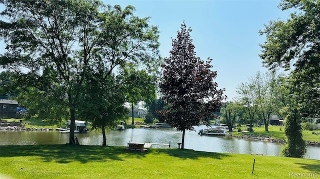 126 Claremont Cir, Brooklyn, MI 49230 - photo 35