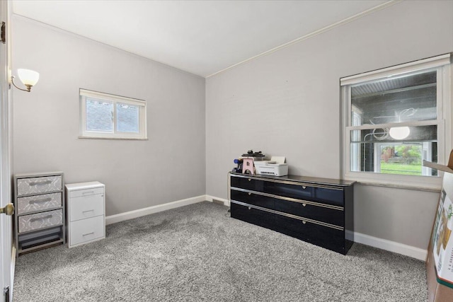 3364 Inman St, Ferndale, MI 48220 - bedroom with multiple windows, carpet, and baseboards