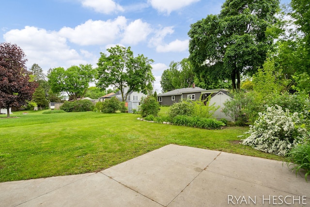 812 Forest St, Ionia, MI 48846 - view of green lawn with a patio area and a residential view
