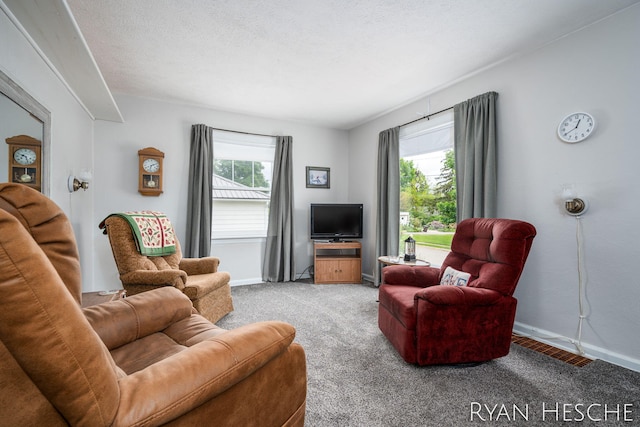 812 Forest St, Ionia, MI 48846 - living area with light colored carpet and baseboards