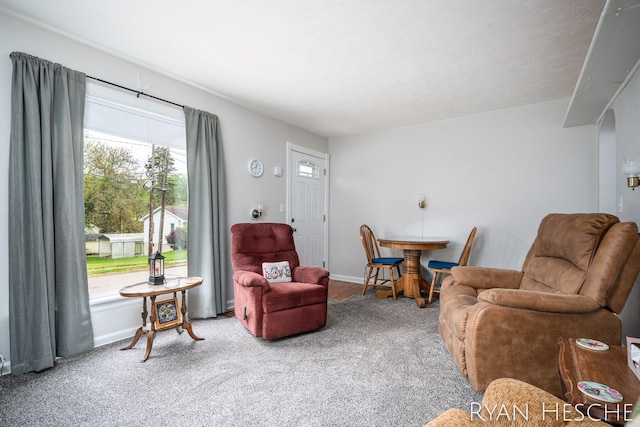 812 Forest St, Ionia, MI 48846 - carpeted living room with baseboards