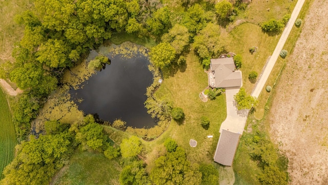 2210 Lindsey Rd, Jackson, MI 49201 - aerial view of a nearby body of water