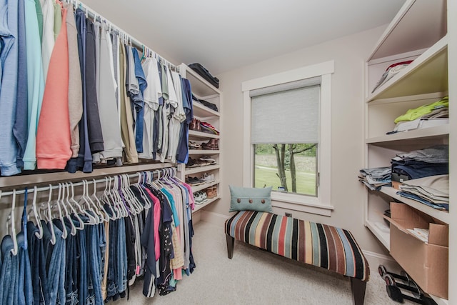 2210 Lindsey Rd, Jackson, MI 49201 - spacious closet featuring carpet flooring