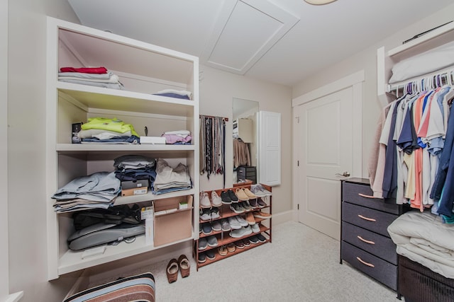 2210 Lindsey Rd, Jackson, MI 49201 - spacious closet with attic access and light carpet
