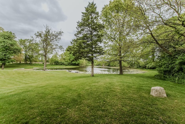 2210 Lindsey Rd, Jackson, MI 49201 - view of green lawn with a water view