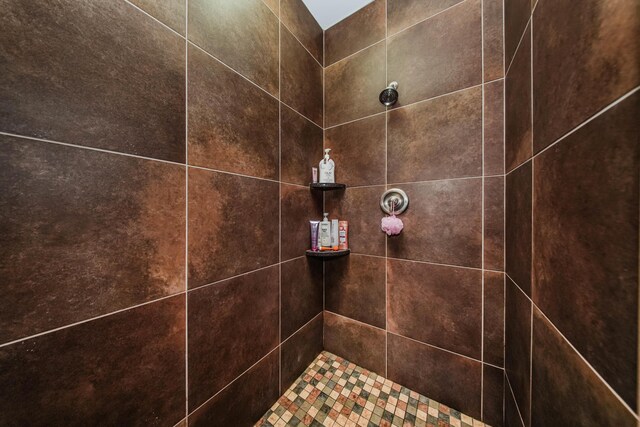 2210 Lindsey Rd, Jackson, MI 49201 - bathroom view of a tile shower