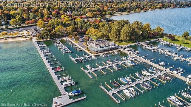 441 Mckinley Ave, Grosse Pointe Farms, MI 48236 - aerial view of property and surrounding area with numerous boat docks and a nearby body of water