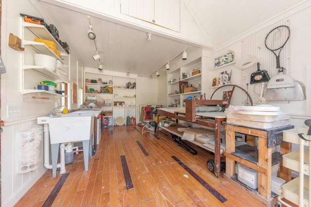 511 W Jefferson St, Ann Arbor, MI 48103 - miscellaneous room with rail lighting, wood-type flooring, and built in features