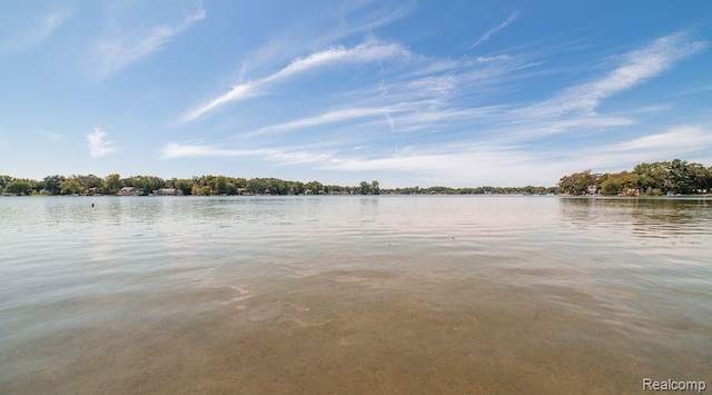 1786 Point St, Commerce Twp, MI 48382 - water view