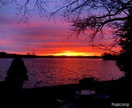 1786 Point St, Commerce Twp, MI 48382 - water view