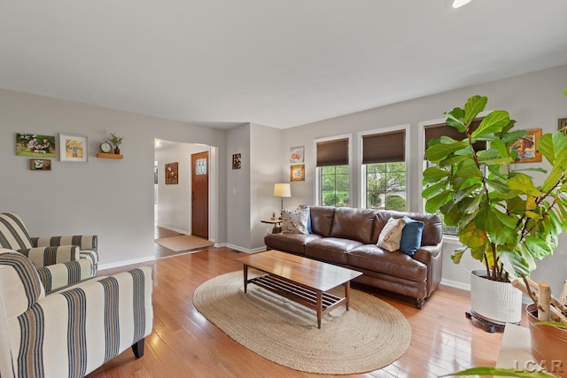 431 Meadowbrook Dr, Adrian, MI 49221 - living area featuring light wood-style flooring and baseboards