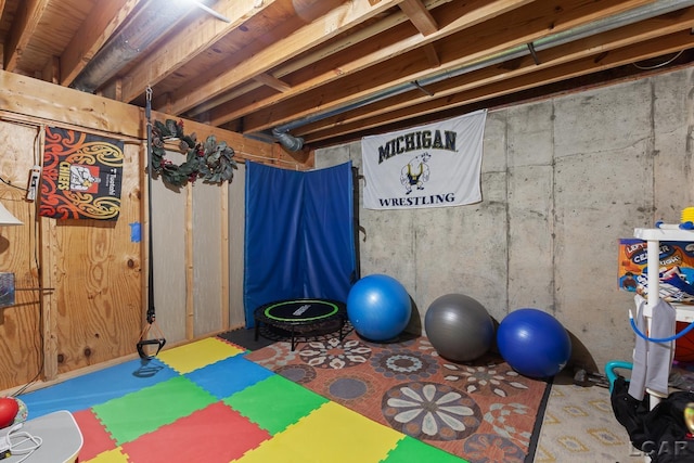 431 Meadowbrook Dr, Adrian, MI 49221 - view of workout room