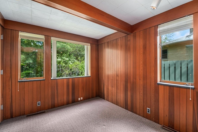 19 Heatheridge St, Ann Arbor, MI 48104 - empty room featuring carpet, healthy amount of natural light, and wood walls
