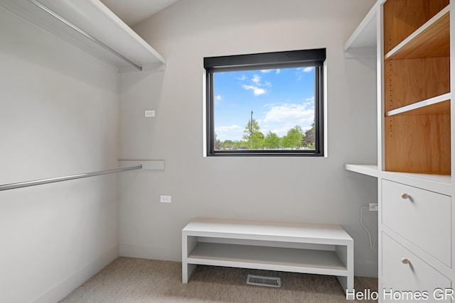 421 Manhattan Rd SE, Grand Rapids, MI 49506 - spacious closet featuring carpet flooring
