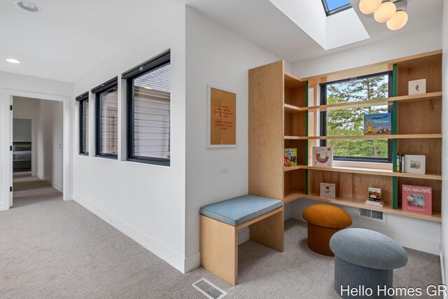 421 Manhattan Rd SE, Grand Rapids, MI 49506 - sitting room with carpet, a skylight, and baseboards
