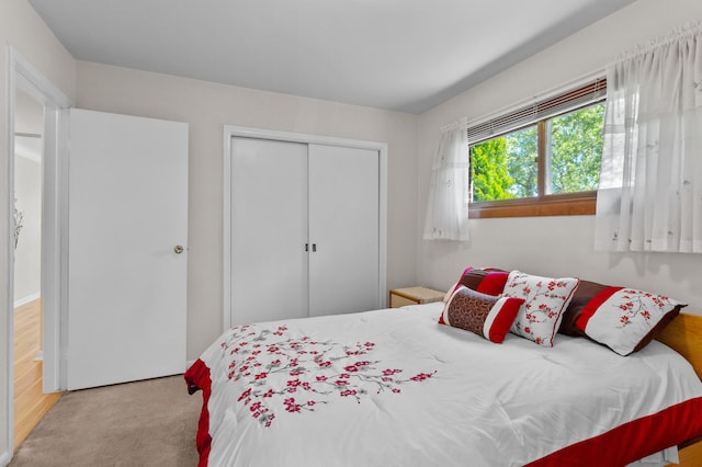 9085 Brentwood St, Livonia, MI 48150 - bedroom with a closet and carpet flooring