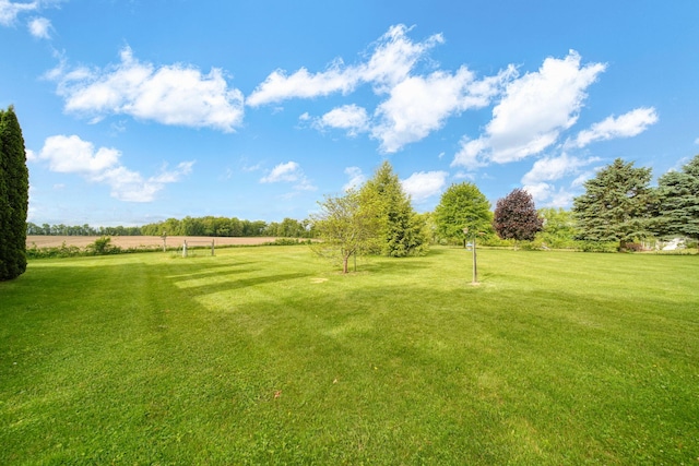 10639 Hanover Rd, Hanover, MI 49241 - view of grassy yard featuring a rural view