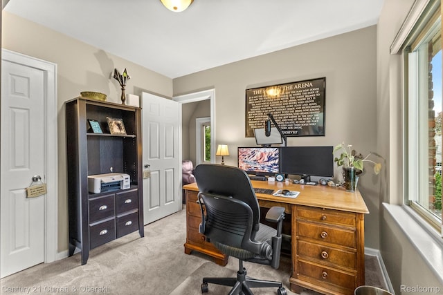 21975 Wildwood St, Dearborn, MI 48128 - office space featuring carpet and baseboards