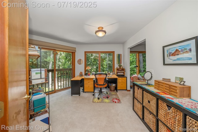 3574 Oakleaf Dr, West Bloomfield, MI 48324 - photo 41
