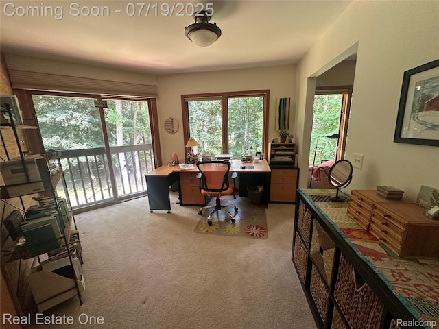 3574 Oakleaf Dr, West Bloomfield, MI 48324 - photo 42