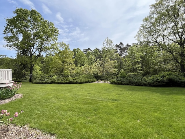 1749 42nd St, Allegan, MI 49010 - view of green lawn