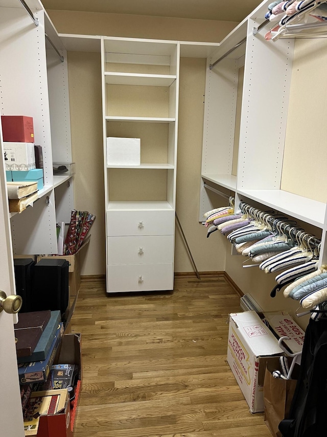 1749 42nd St, Allegan, MI 49010 - walk in closet with light wood-style floors