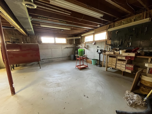 1749 42nd St, Allegan, MI 49010 - basement featuring heating fuel and a workshop area