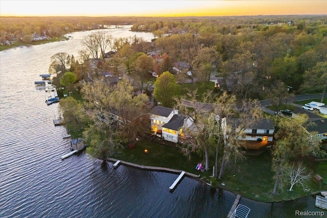 1425 Shankin Dr, Wolverine Lake, MI 48390 - view of property location with a large body of water and a forest