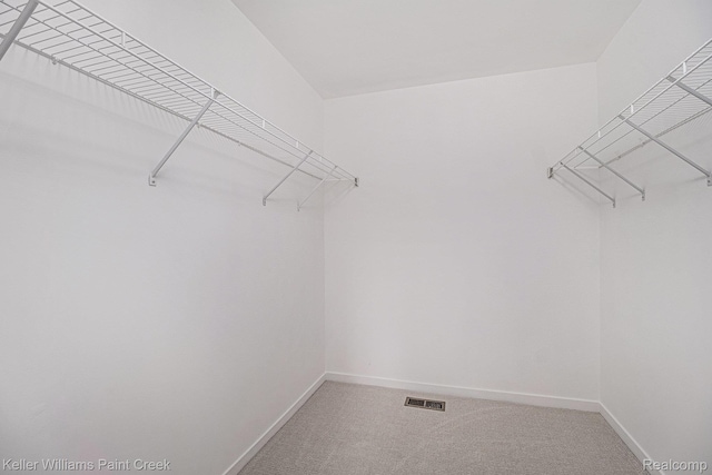 164 Barrington Cir, Lake Orion, MI 48360 - spacious closet with carpet floors