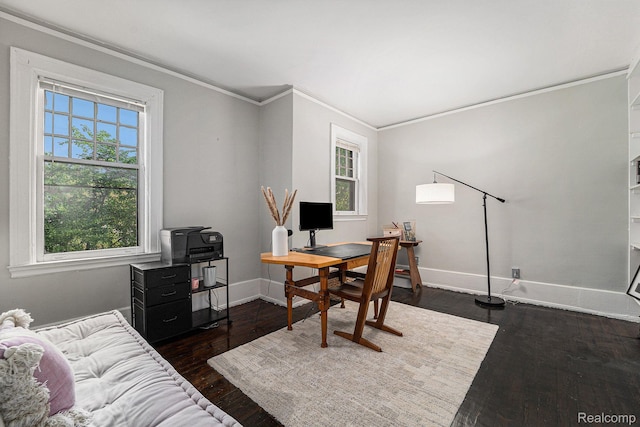 8123 E Lafayette St, Detroit, MI 48214 - office space featuring crown molding, dark wood-type flooring, healthy amount of natural light, and baseboards