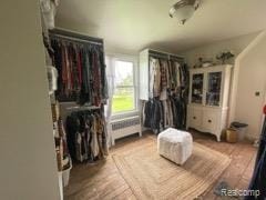 1264 Brabbs St, Burton, MI 48509 - walk in closet with radiator heating unit