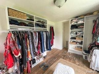 1264 Brabbs St, Burton, MI 48509 - view of spacious closet