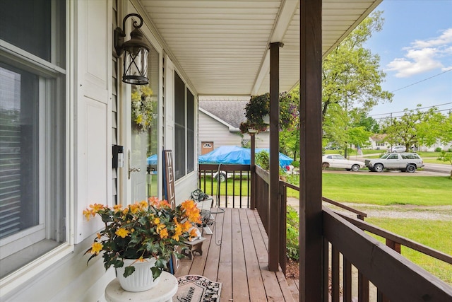 113 Diversy Dr, Brooklyn, MI 49230 - porch with a lawn