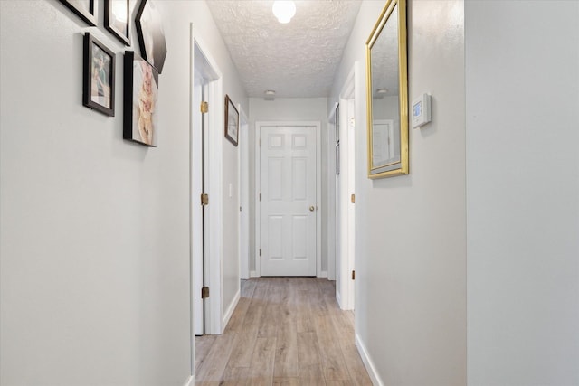 113 Diversy Dr, Brooklyn, MI 49230 - corridor with light wood finished floors, a textured ceiling, and baseboards