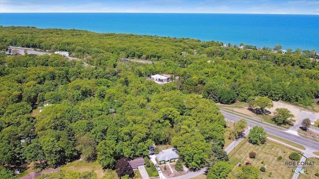 18335 Oakland Dr, New Buffalo, MI 49117 - drone / aerial view of a heavily wooded area and a nearby body of water