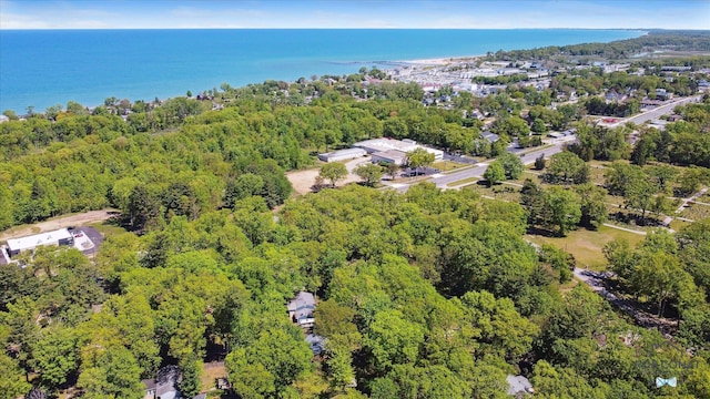 18335 Oakland Dr, New Buffalo, MI 49117 - drone / aerial view of a nearby body of water and a forest